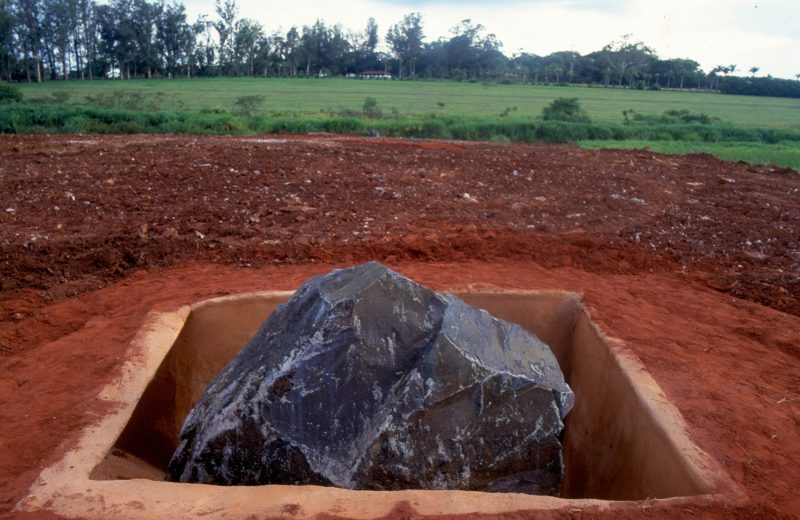 Nuno Ramos 1996 Matacao 10